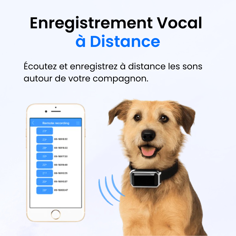 Traceur GPS pour Chien Sans Abonnement