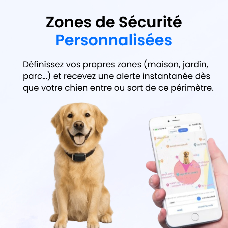 Traceur GPS pour Chien Sans Abonnement