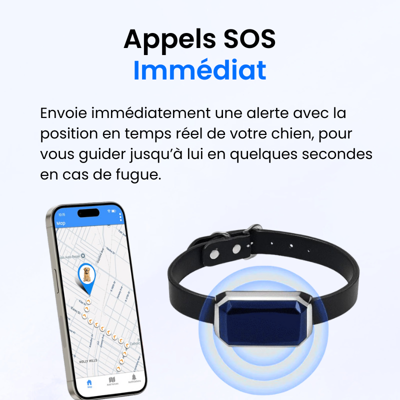Traceur GPS pour Chien Sans Abonnement