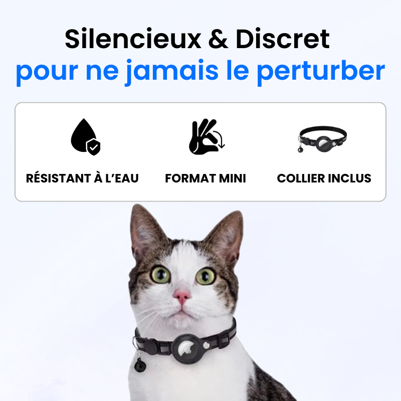 Traceur GPS pour Chat Sans Abonnement